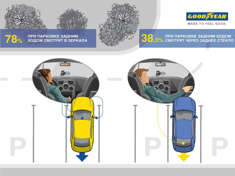 Особенности украинской парковки: исследование