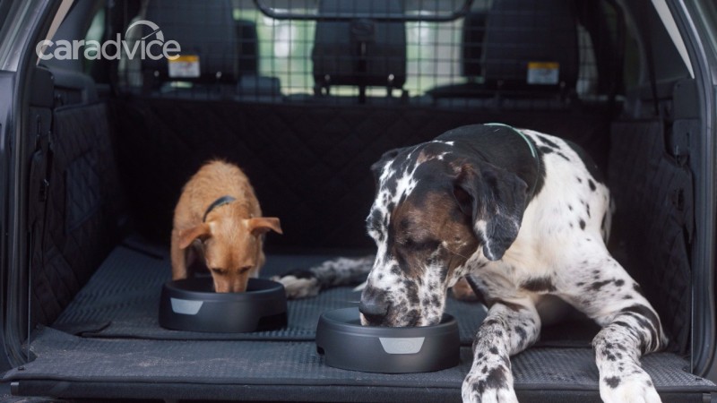 Land Rover предлагает аксессуары для собак