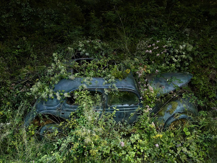 «Райская парковка» от фотографа Питера Липпмана [фото]