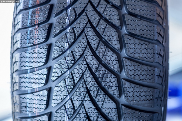 Goodyear презентовал зимние шины для Украины [фото]