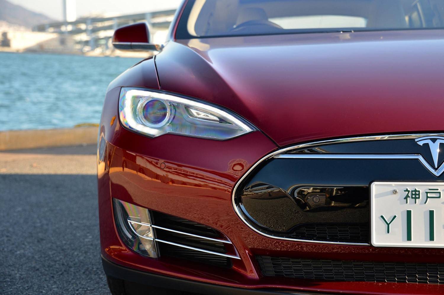 Парень «привел» в Tesla Motors 188 новых клиентов за 2 месяца - 1