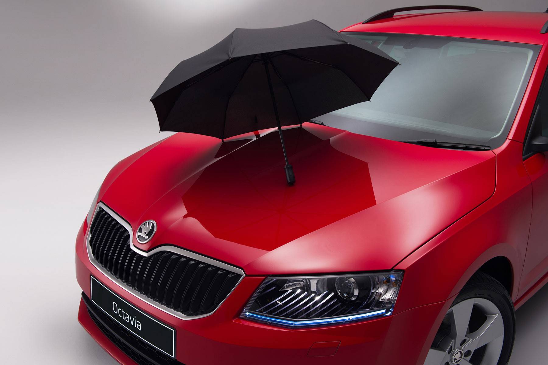 К осени Skoda укомплектует Octavia, Fabia и Citigo зонтиками - 2