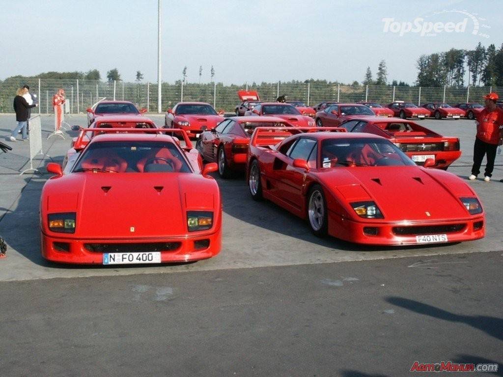 Водитель Ferrari F40  поставил велосипед на крышу [фото] - 6