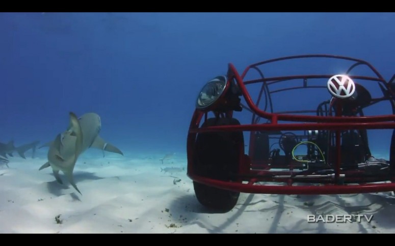 VW «Жук» использовали в качестве приманки акул [видео]